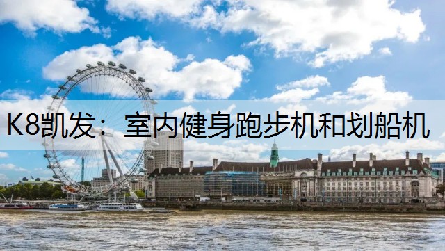 K8凯发：室内健身跑步机和划船机