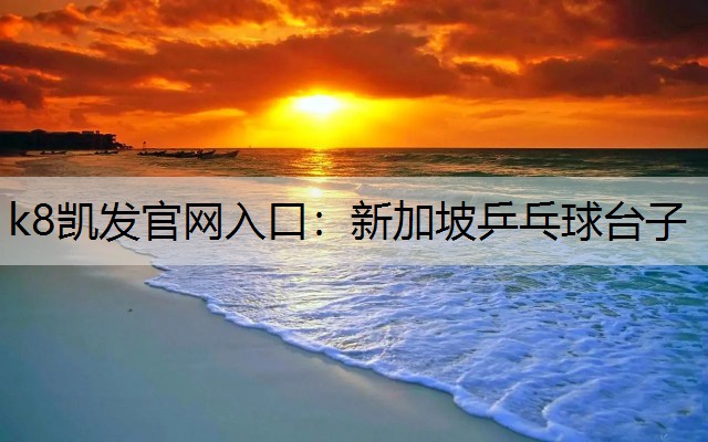 k8凯发官网入口：新加坡乒乓球台子