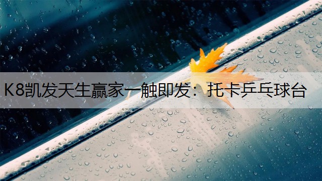 K8凯发天生赢家一触即发：托卡乒乓球台