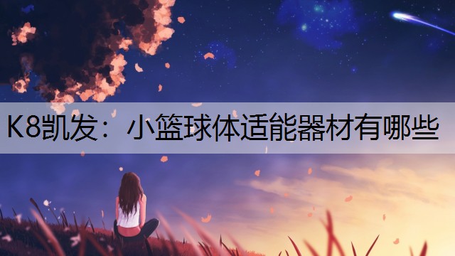 K8凯发：小篮球体适能器材有哪些