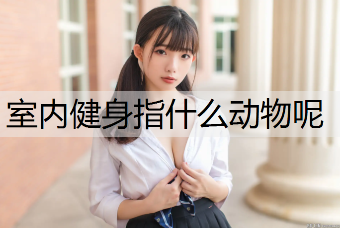 室内健身指什么动物呢