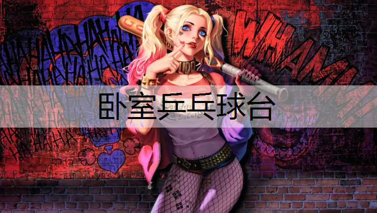 卧室乒乓球台