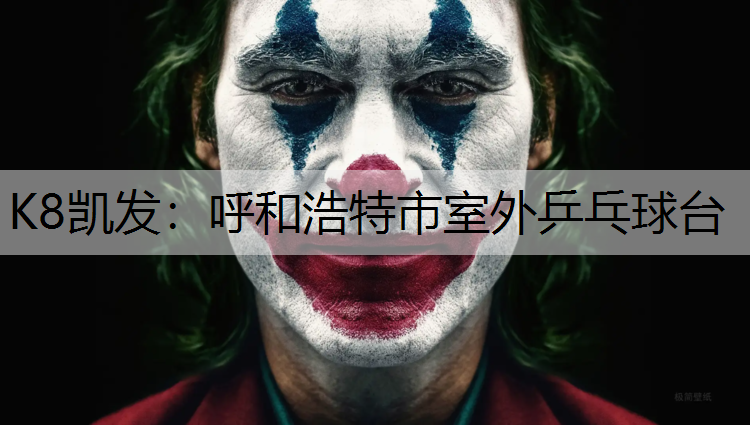 K8凯发：呼和浩特市室外乒乓球台