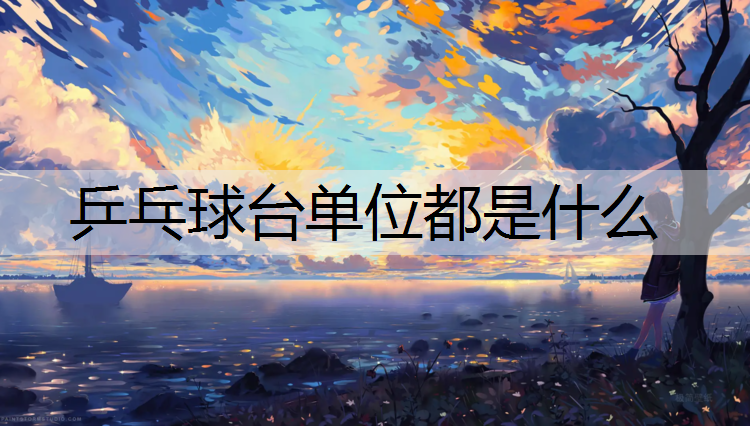乒乓球台单位都是什么
