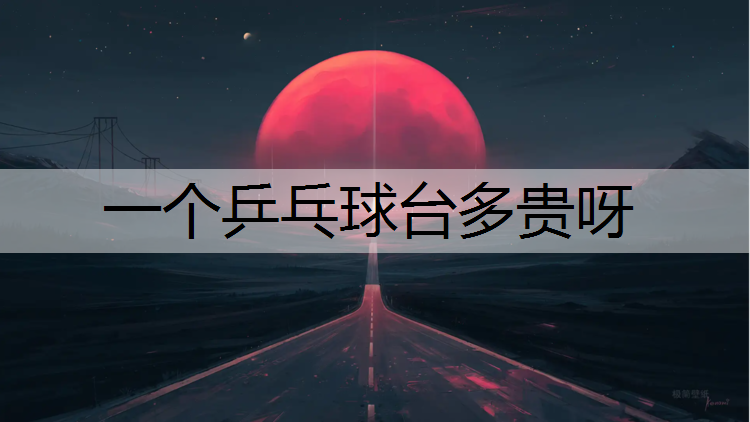 一个乒乓球台多贵呀
