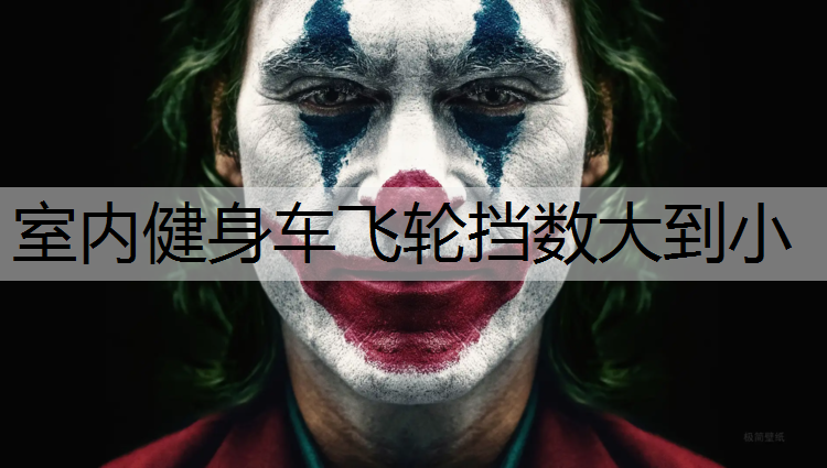 室内健身车飞轮挡数大到小