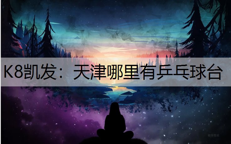 K8凯发：天津哪里有乒乓球台