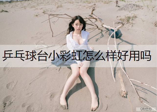 乒乓球台小彩虹怎么样好用吗