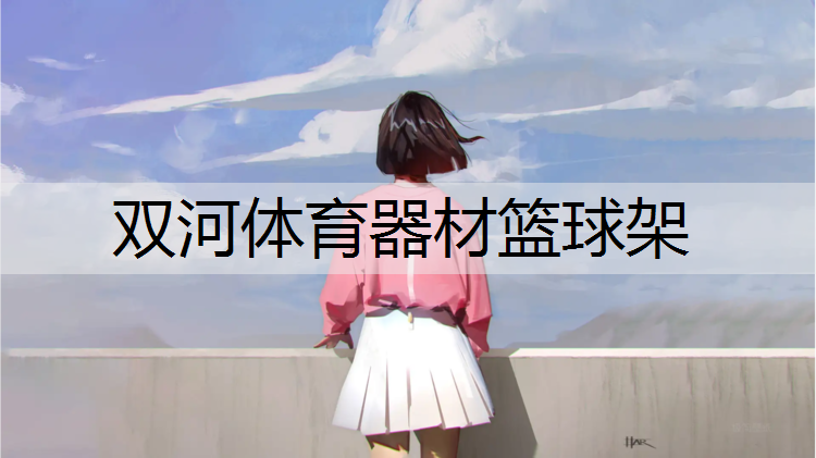 双河体育器材篮球架