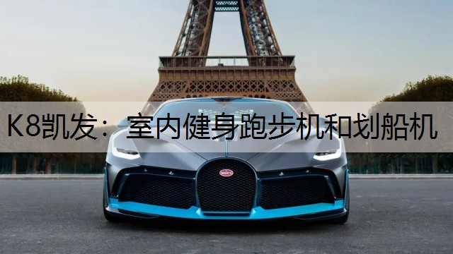 室内健身跑步机和划船机