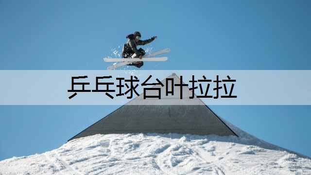 乒乓球台叶拉拉