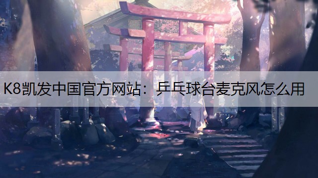 乒乓球台麦克风怎么用 乒乓球台麦克风怎么用