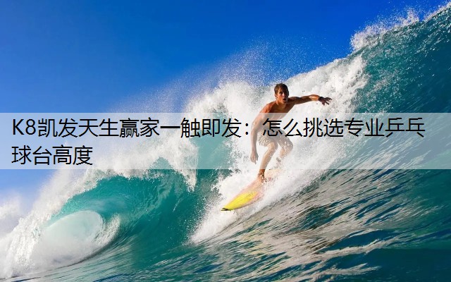 怎么挑选专业乒乓球台高度