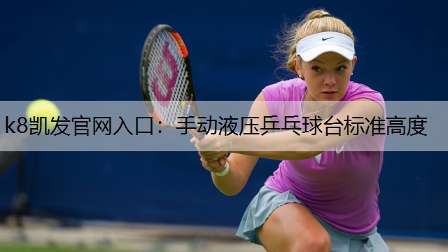 手动液压乒乓球台标准高度