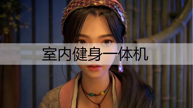 室内健身一体机