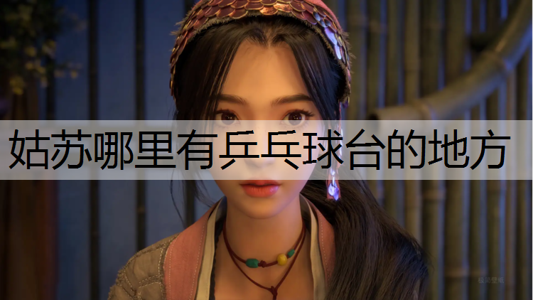 姑苏哪里有乒乓球台的地方