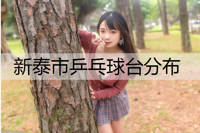 新泰市乒乓球台分布