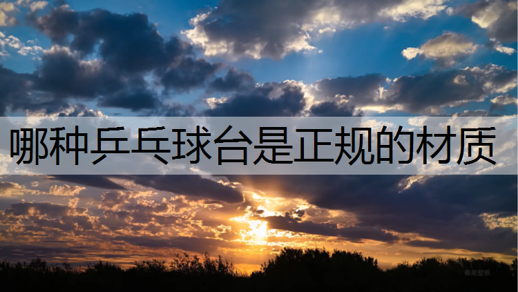 哪种乒乓球台是正规的材质